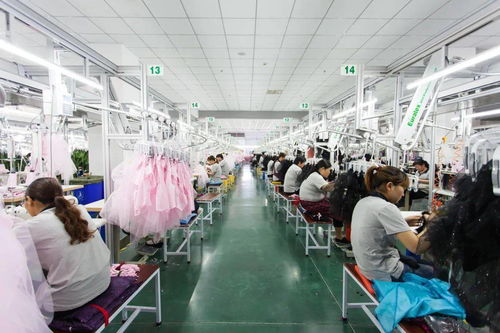 堅(jiān)持科技創(chuàng)新，引領(lǐng)會員企業(yè)高質(zhì)量發(fā)展取得新成果——聚焦科技技術(shù)開發(fā)